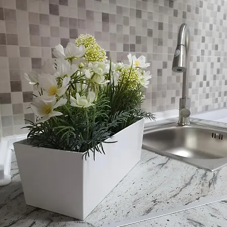 La Real * Arrecife (Lanzarote)